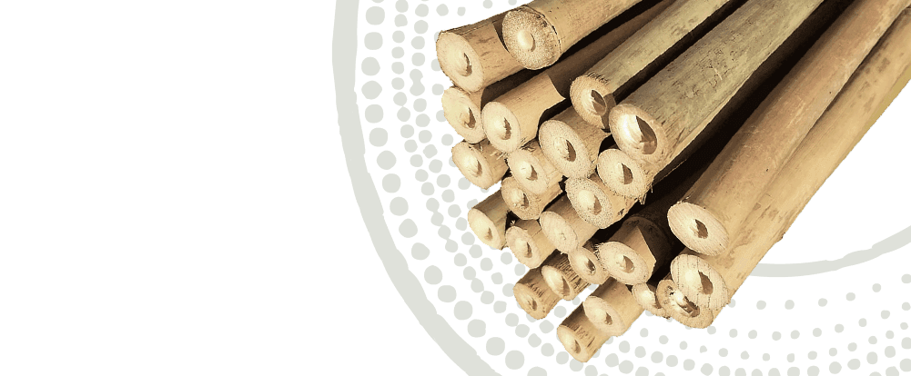 bamboo sticks banner