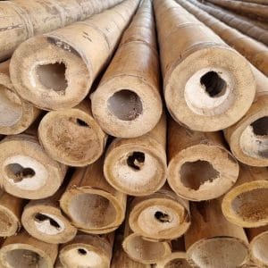 1what products are made from bamboo 10