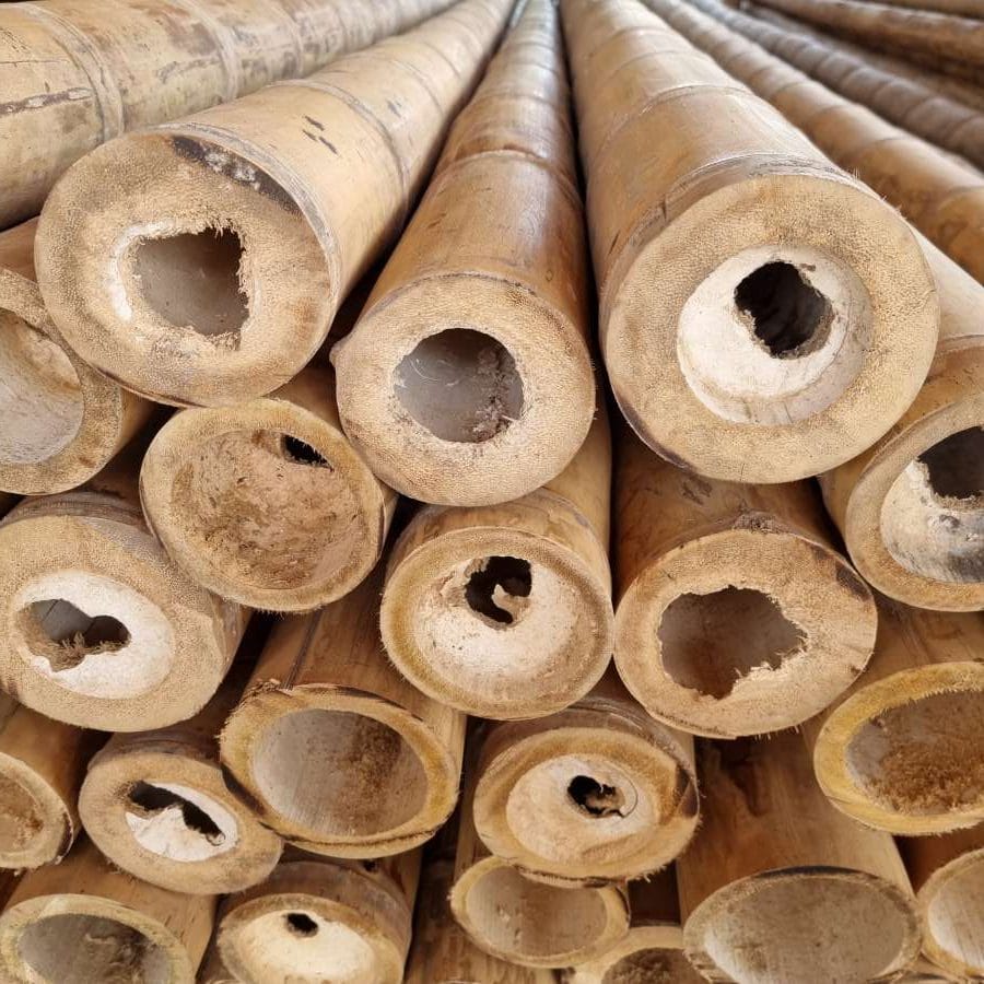 What Products are Made from Bamboo? 1 1what products are made from bamboo 10