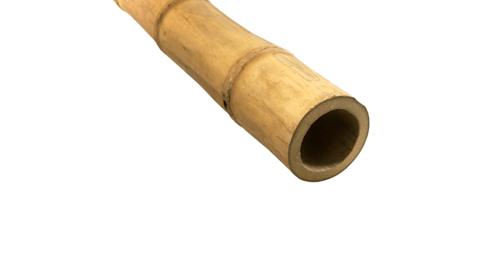 bamboo wall 