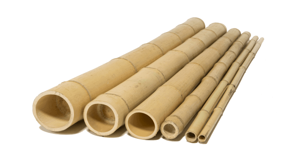 bamboo wall 