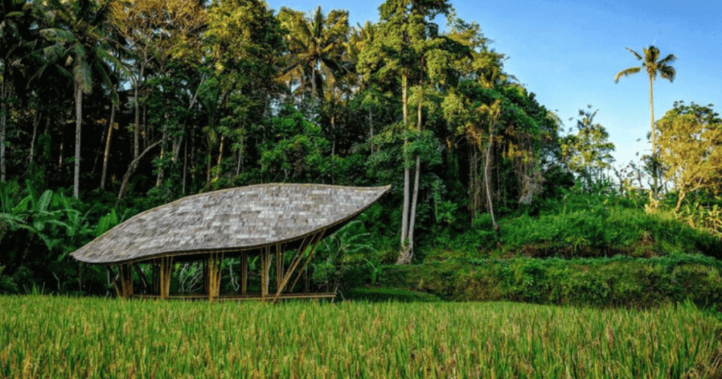 Build With Bamboo