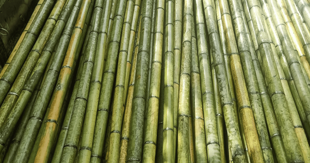 durability of bamboo
