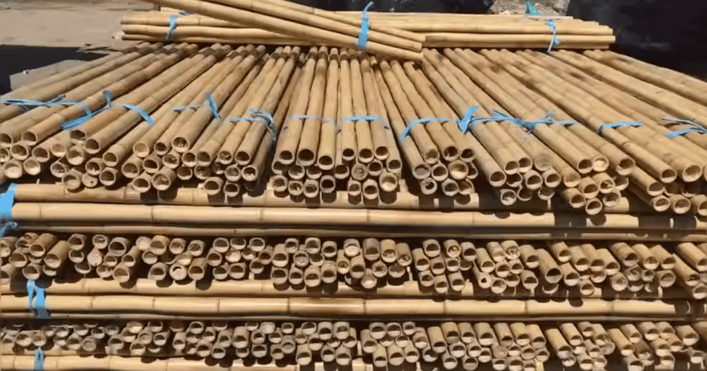durability of bamboo