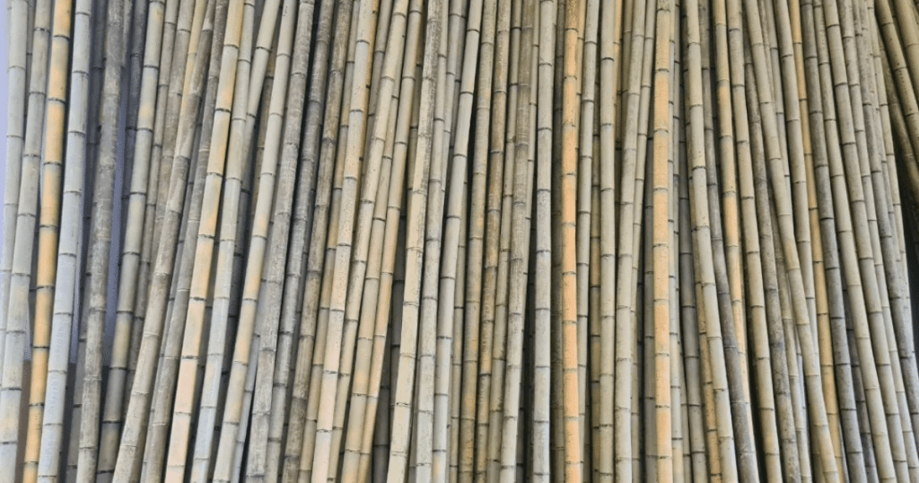durability of bamboo