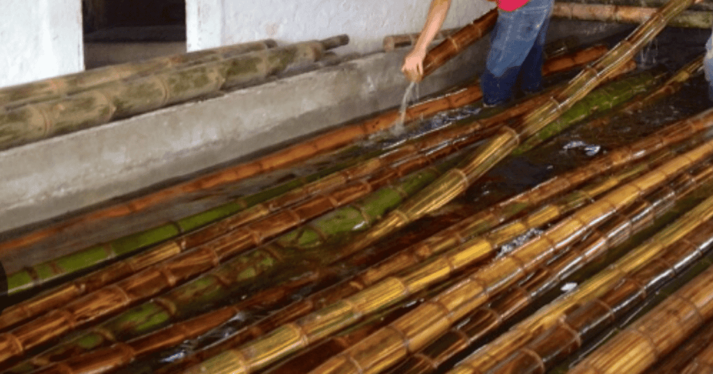  storing bamboo in water