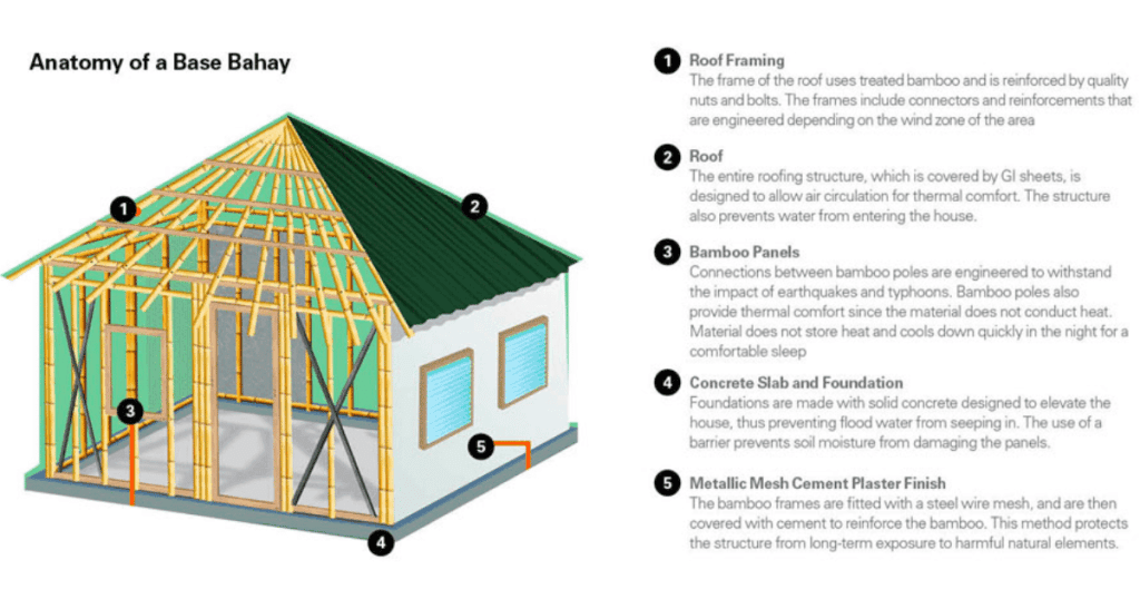 Advantages of Bamboo in Earthquake