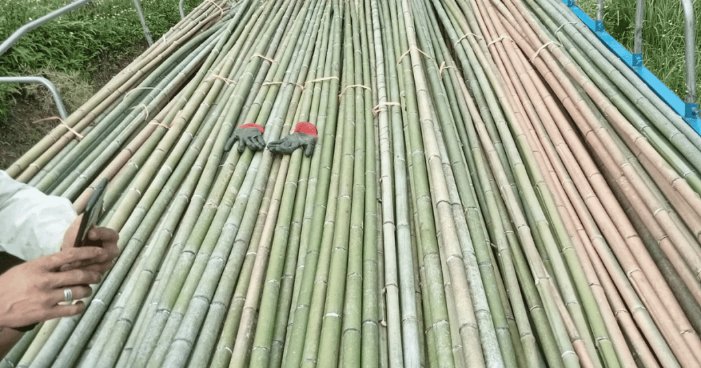 bamboo sticks construction in bulk with standard