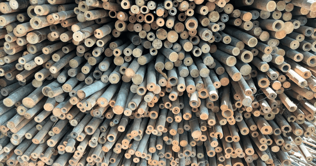 supplying affordable tam vong bamboo poles in large quantities