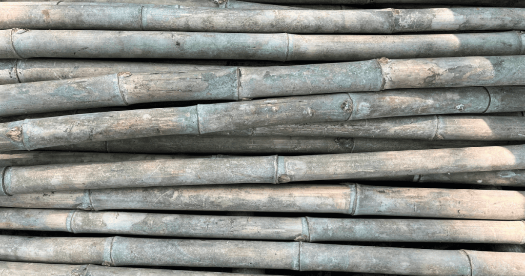 supplying affordable tam vong bamboo poles in large quantities 2