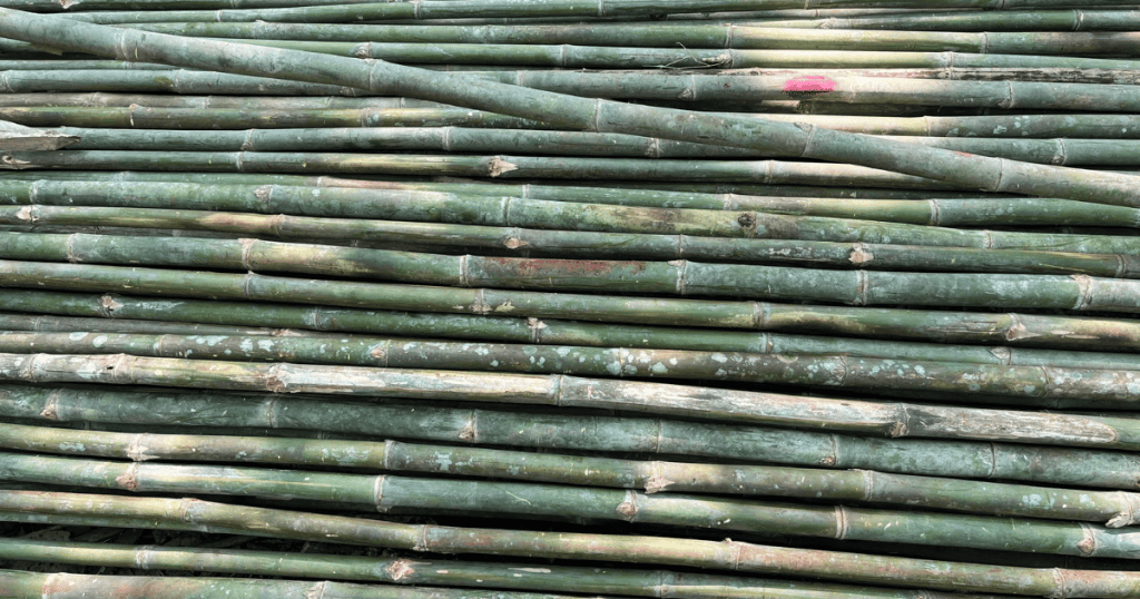 supplying affordable tam vong bamboo poles in large quantities 5