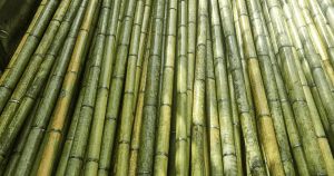 wholesale bamboo poles with best price factory