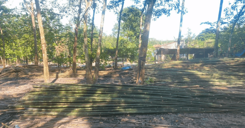 Good Price Bamboo Sticks