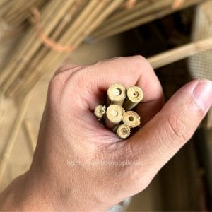 bamboo stakes