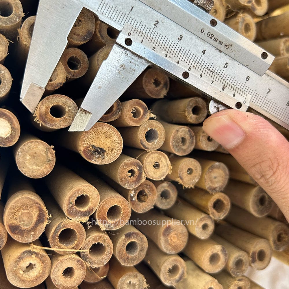 bamboo stakes