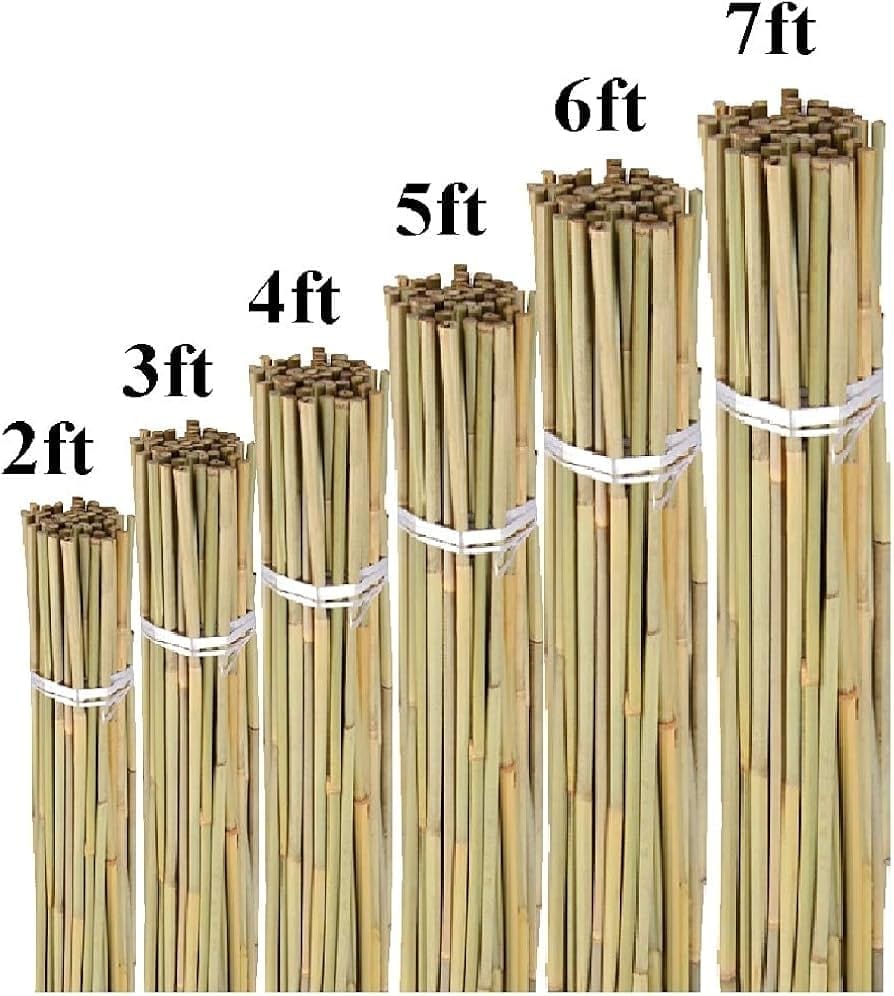 Bamboo cane suppliers Vietnam