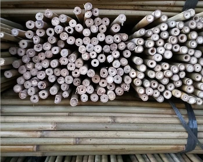 bamboo cane suppliers Vietnam