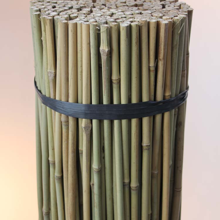 Bamboo cane suppliers Vietnam