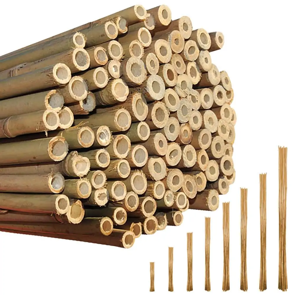 Bamboo Cane for Sale: A Sustainable Solution for Modern Agriculture 3 bamboo cane for sale