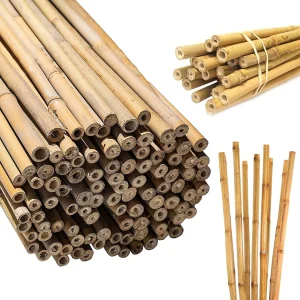 bamboo cane for sale