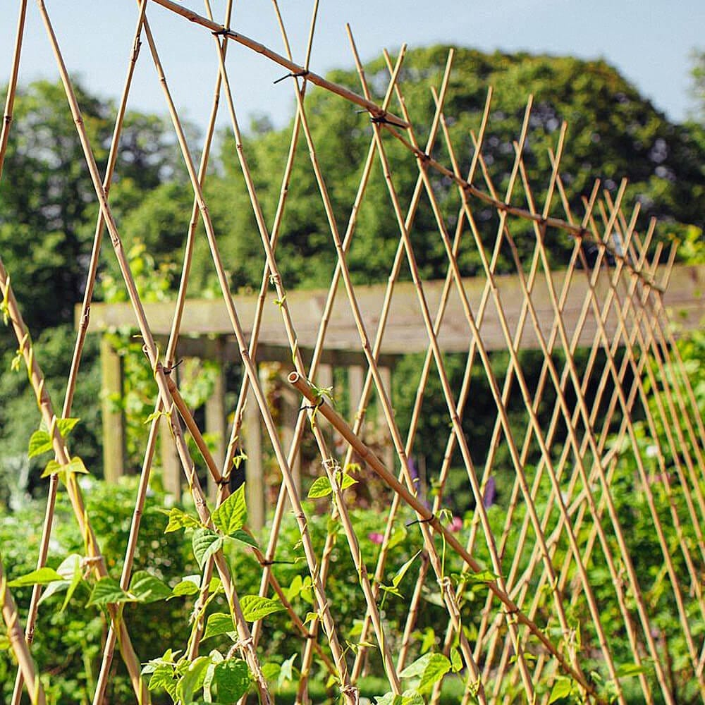 Bamboo Cane for Sale: A Sustainable Solution for Modern Agriculture 7 bamboo cane for sale