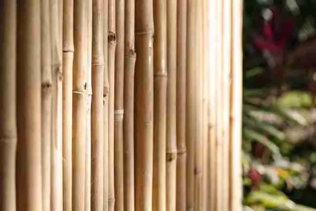 Bamboo Fencing Material