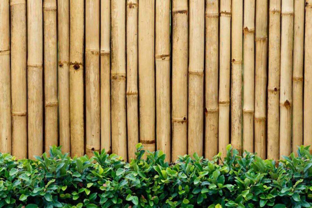 bamboo fencing material