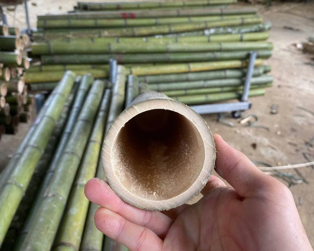 Bamboo Poles For Sale - Best Quality, Global Reach 2024 3 bamboo poles for sale