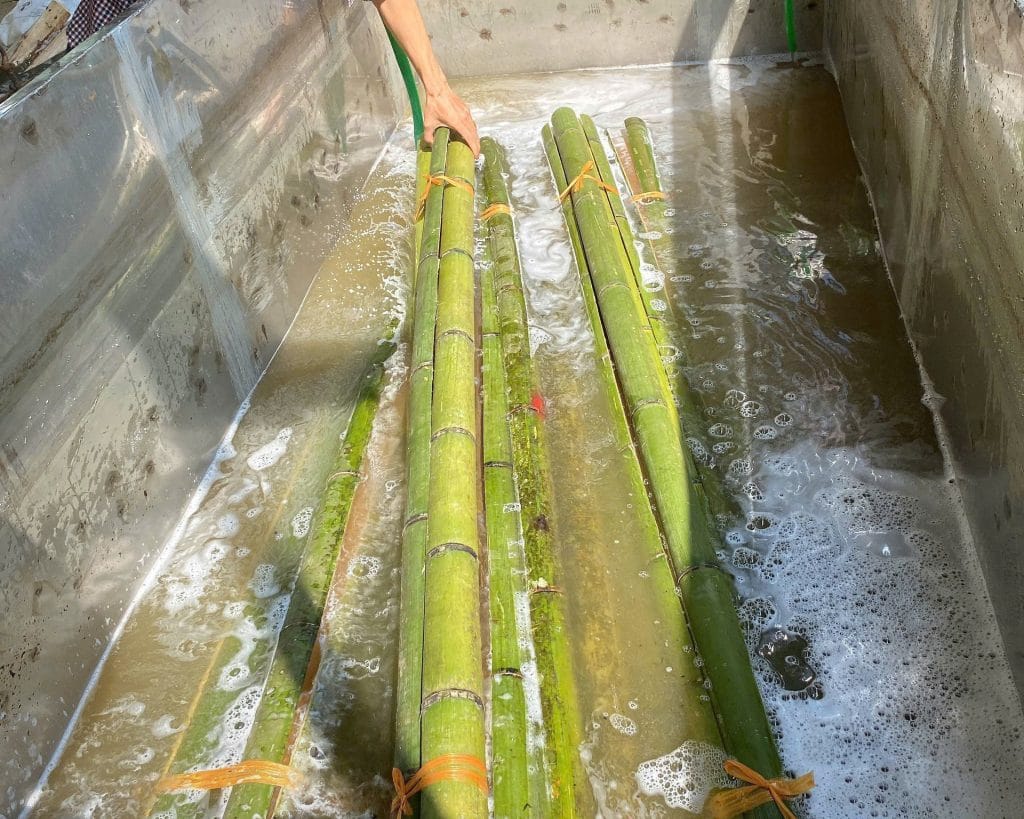 Bamboo Poles For Sale - Best Quality, Global Reach 2024 1 bamboo poles for sale