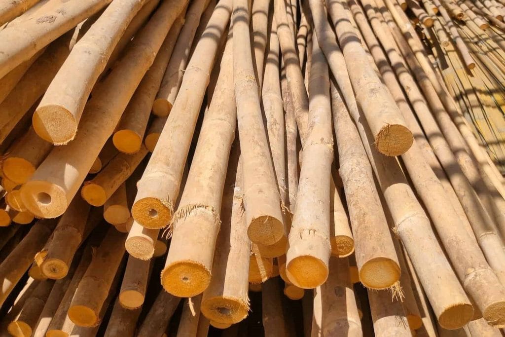 bamboo products manufacturer