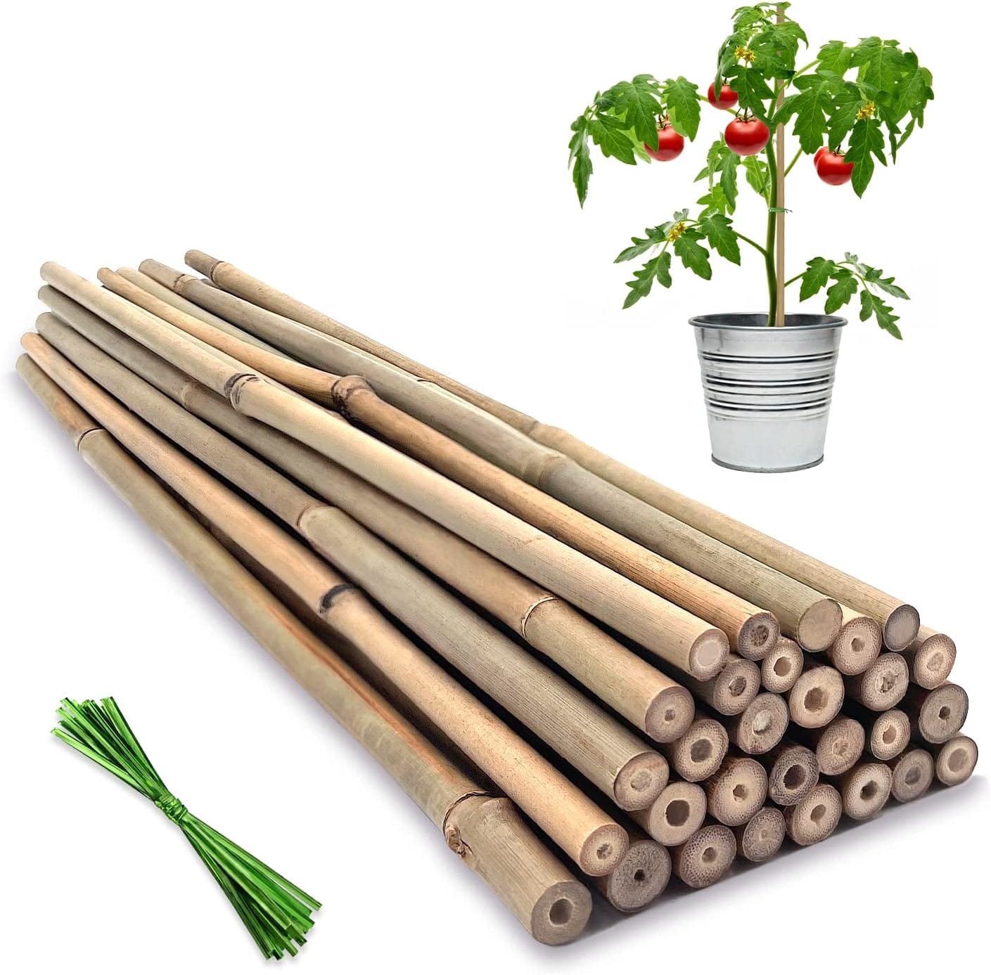 bamboo stakes for sale