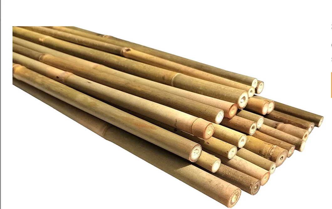 bamboo stakes for sale