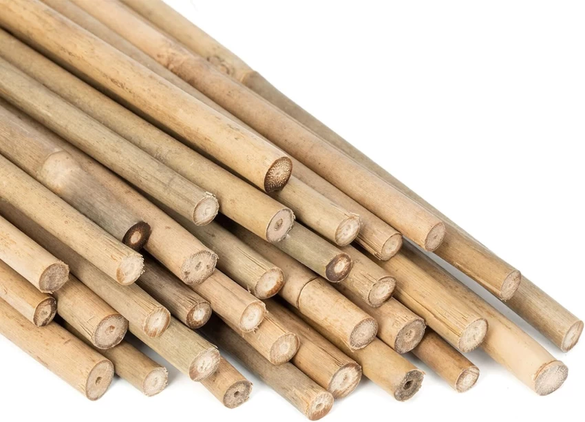 bamboo stakes for sale