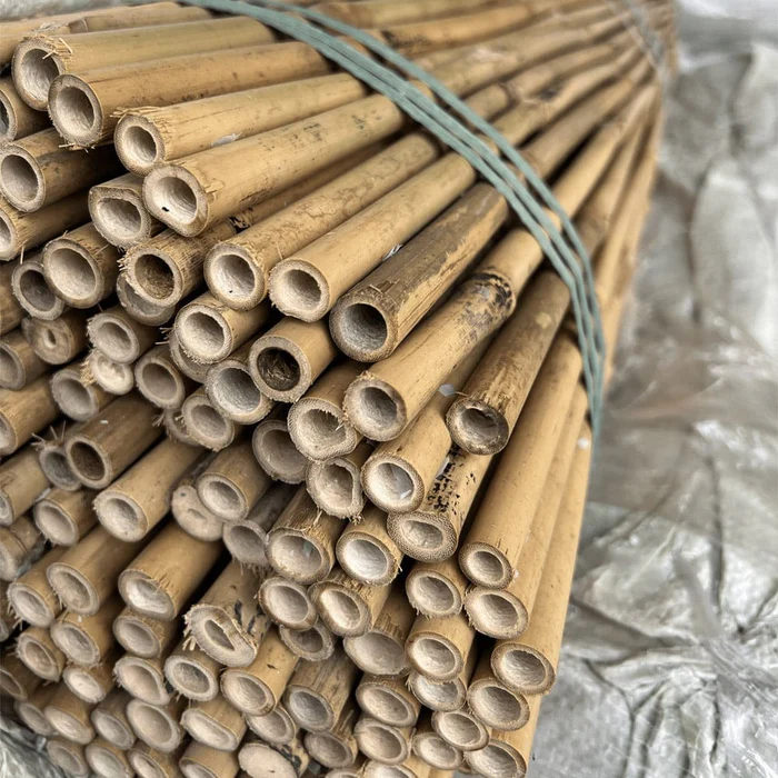 bamboo stakes for sale