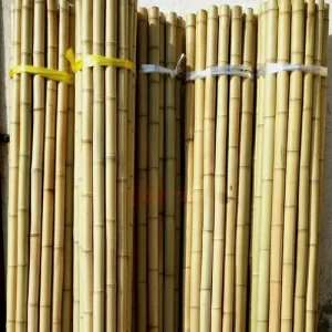 bamboo wholesale suppliers