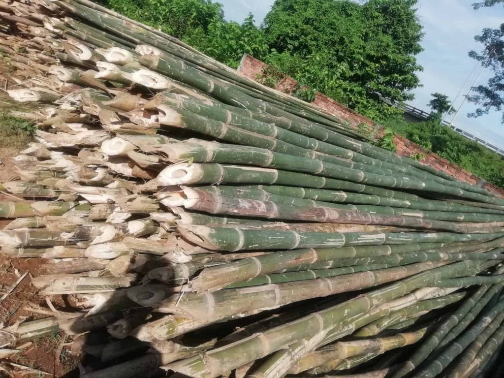 bamboo wholesale suppliers
