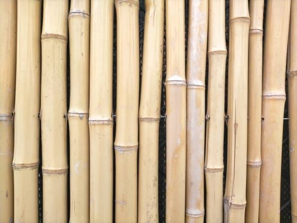 decorative bamboo sticks