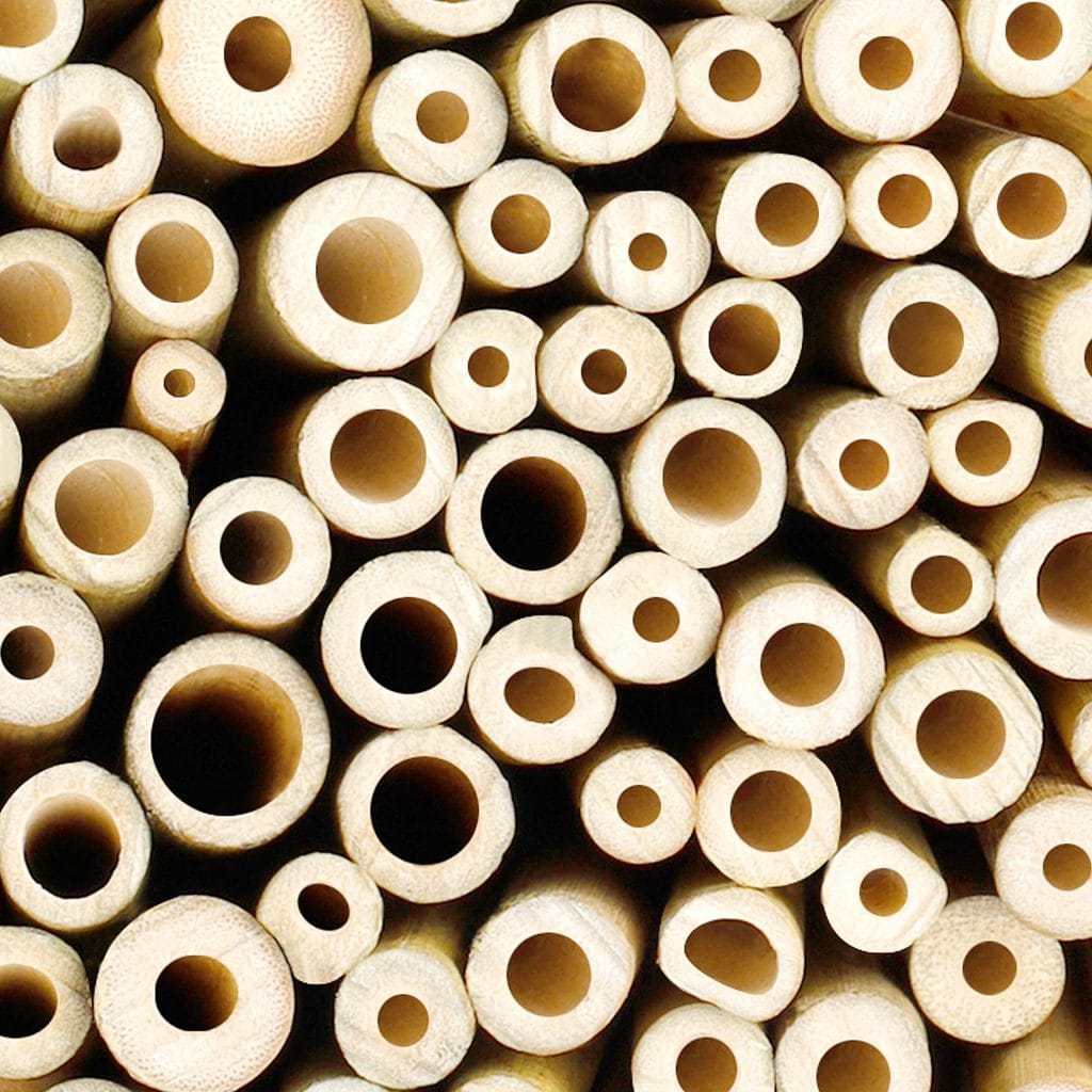 Natural Bamboo Sticks: Sustainable, Versatile, and Profitable Solution 3 natural bamboo sticks