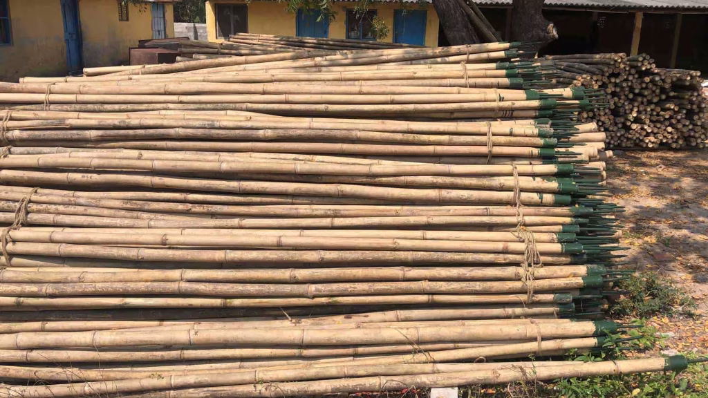 Natural Bamboo Sticks: Sustainable, Versatile, and Profitable Solution 1 natural bamboo sticks