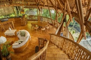 bamboo design