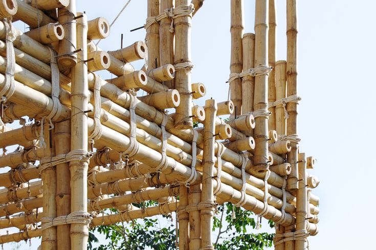 bamboo house structure