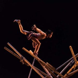 bamboo circus 5