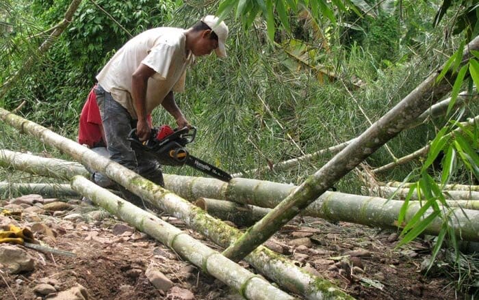 bamboo construction mistakes