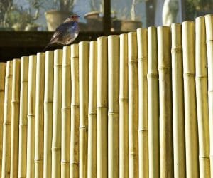 bamboo fence design for zoo