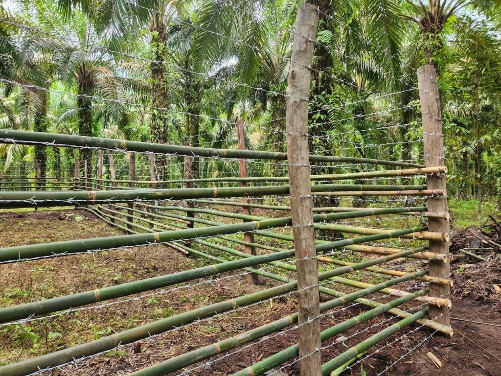 bamboo fence design for zoo