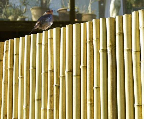 bamboo fence design for zoo
