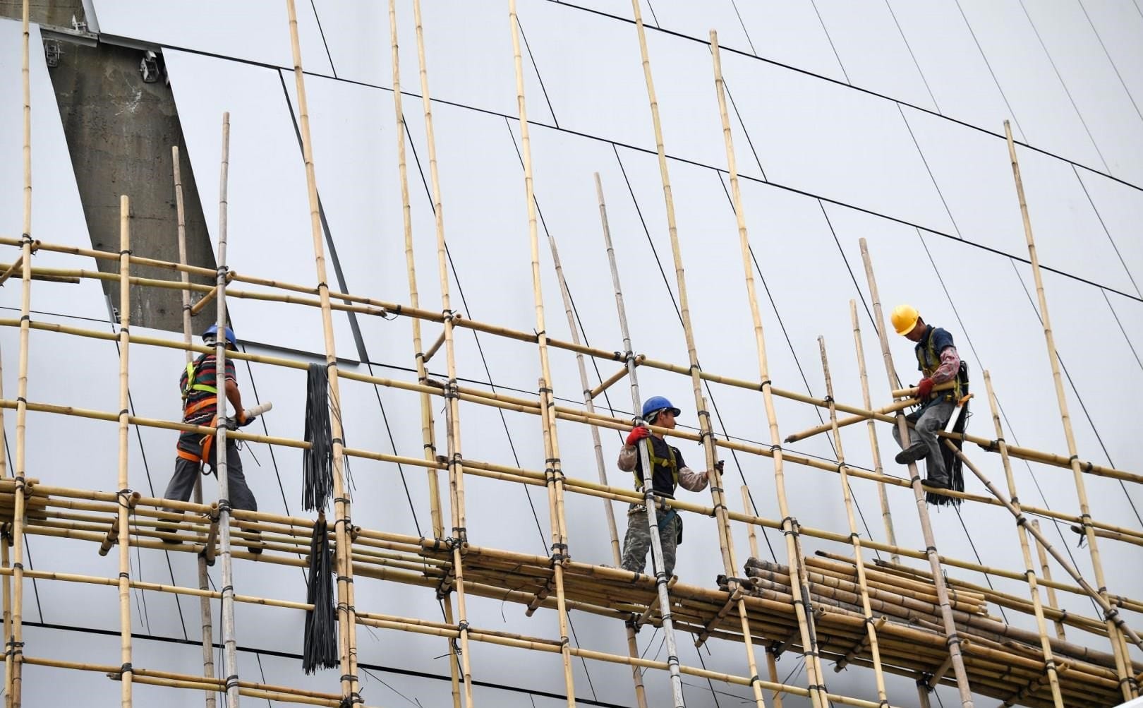 bamboo on-site