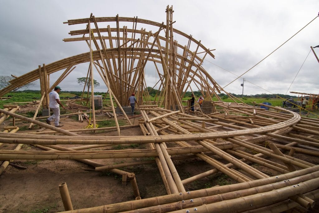 bamboo on-site