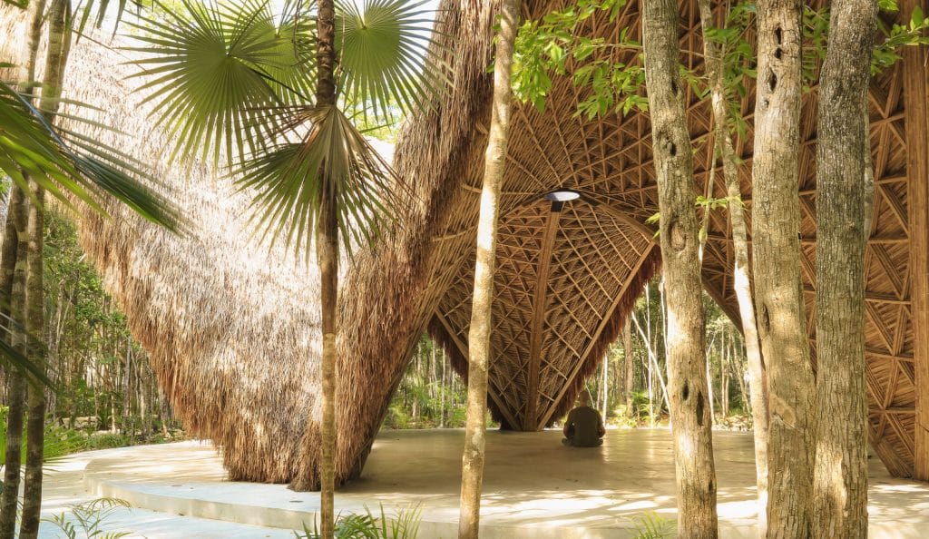 bamboo on-site