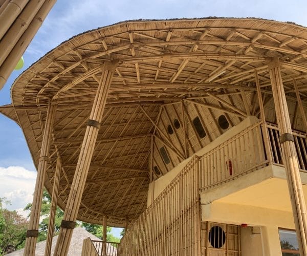 bamboo structure
